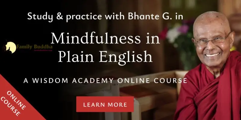 "Mindfulness in Plain English" by Henepola Gunaratana