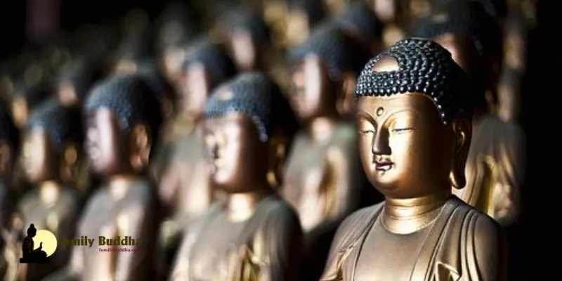 Reflections of a recent convert to Buddhism