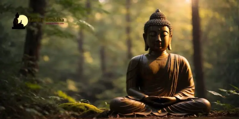 Buddhist Meditation: Delving into Deep Contemplation